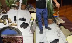 Kumluca'da yılan yakalandı
