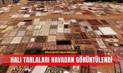 Döşemealtı'ndan dünyaya: Halı tarlaları havadan görüntülendi