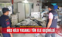 Antalya'da kaçak balık operasyonu: 603 kilo yasaklı tür ele geçirildi