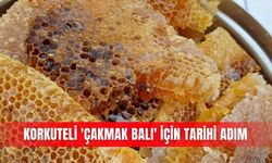 Korkuteli 'Çakmak Balı' için tarihi adım