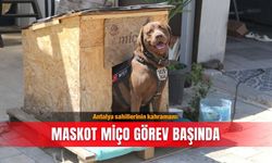 Antalya sahillerinin kahramanı: Maskot Miço görev başında