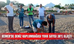 Kemer'de deniz kaplumbağası yuva sayısı 38'e ulaştı