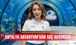 Yapay zekayla sahte video yapıp dolandırdılar! Antalya Akvaryum'dan suç duyurusu