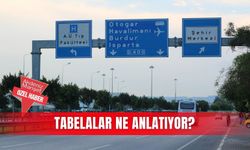 Tabelalar ne anlatıyor?