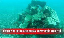Akdeniz’de beton atıklardan yapay resif mucizesi