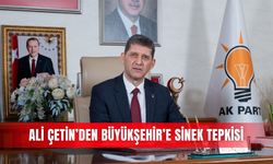 Ali Çetin’den Büyükşehir’e sinek tepkisi