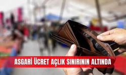 Asgari ücret açlık sınırının altında