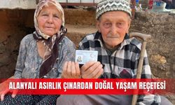 Alanyalı asırlık çınardan doğal yaşam reçetesi
