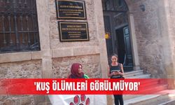 'Kuş ölümleri görülmüyor'