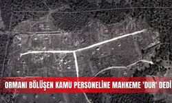 Ormanı bölüşen kamu personeline mahkeme 'dur' dedi