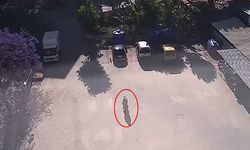 Alanya'da kedilerin mama kapları çalındı