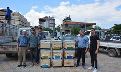 Korkuteli'de kovan dağıtımı
