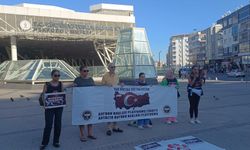 ‘Kuşların bürokrasiye ayıracak zamanı yok’