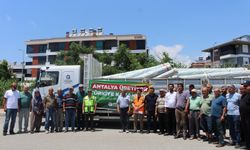 Büyükşehir'den üreticilere naylon desteği