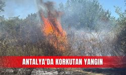 Antalya'da korkutan yangın