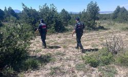 Ağaca asılı halde bulundu, jandarma kurtardı