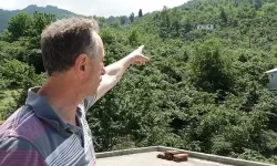 Trabzon’da ağaca çarpıp düşen İHA inceleniyor