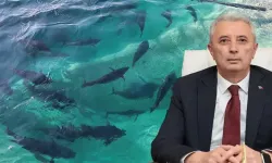 Türkyılmaz: Su ürünlerinde 2,3 milyar dolarlık ihracat yaptık