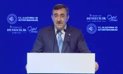 "Deniz ulaşımı küresel ekonominin can damarı"