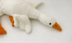 Bakanlıktan 'peluş kaz' oyuncağına yasak ve toplatma kararı