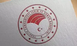 Tarım ve Orman Bakanlığı'ndan çekirge istilası açıklaması