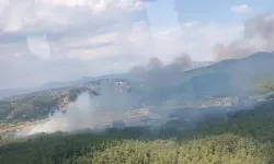 Tarım arazisinde çıkan yangın ormana sıçradı