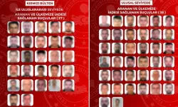 Yurt dışına kaçan 65 suçlu Türkiye'ye getirildi