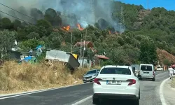 Yalova’da orman yangını
