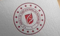 Türkiye'nin elektrik kurulu gücü, 126 bin 113 megavata yükseldi