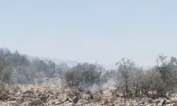 Gaziantep'te orman yangını