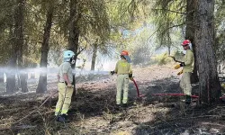 Osmaniye’de orman yangını