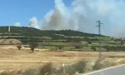 Balıkesir Susurluk’ta orman yangını