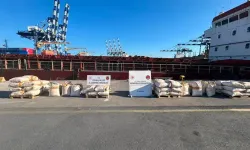 Ambarlı Limanı'nda 3 ton uyuşturucu madde ele geçirildi