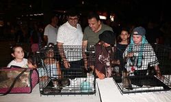 Kemer'de sokak hayvanları yararına konser