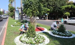 Alanya Belediyesi'nden yeşil alanlarda yoğun mesai