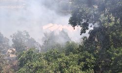 Alanya'da zirai alanda yangın