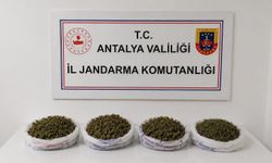 Alanya'da 1 kilo 979 gram kubar esrar ele geçirildi