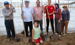 Seralarda solarizasyon dönemi