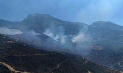 Alanya'da yanan yerler havadan görüntülendi
