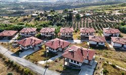 Manavgat yangınının 5. yılında yangını yaşayanlar anlattı