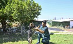 Patili dostlara serin dokunuş