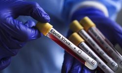 Ebola’ya karşı yeni umut: İlk deneysel aşı insanda denendi