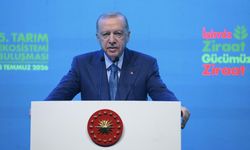 Cumhurbaşkanı Erdoğan: Terörsüz Türkiye sürecini hedefine ulaştıracağız