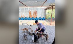 Kemer'den sokak hayvanlarına şefkat eli