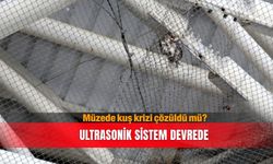 Müzede kuş krizi çözüldü mü? Ultrasonik sistem devrede