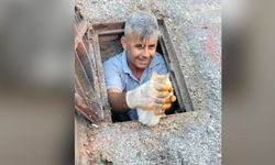 Kanalizasyona düşen kedi belediye ekiplerince kurtarıldı