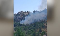 Alanya'da zirai alanda çıkan yangın söndürüldü