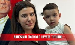 Annesinin ciğeriyle hayata tutundu