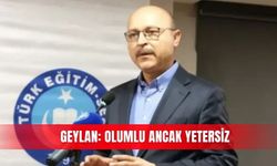 Geylan: Olumlu ancak yetersiz
