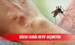 Böcek ısırığı deyip geçmeyin!